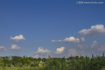 原生态森林公园景色