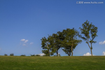 坝上三棵树