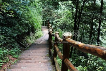 山林小道
