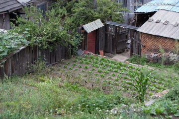 农家小院