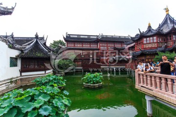 上海豫园商城园林景观荷花池
