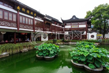 上海豫园商城园林景观荷花池喷泉