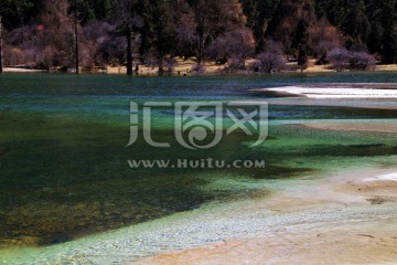 碧水沙滩 红树林