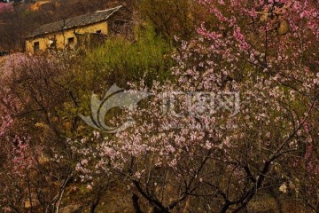 泰山桃花峪
