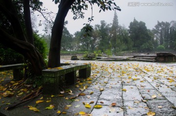 钓鱼城 秋天景色