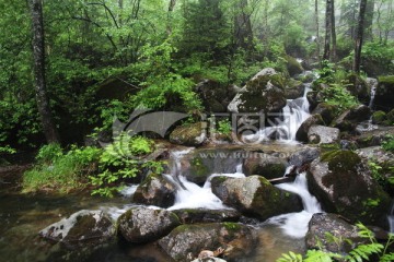 石头 流水 山泉 小溪