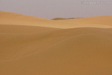 沙漠