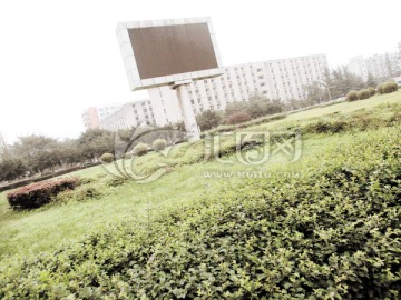 成都四川大学内景 显示屏和绿化