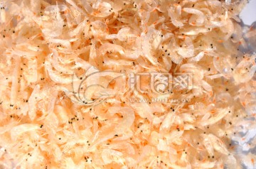 小虾米