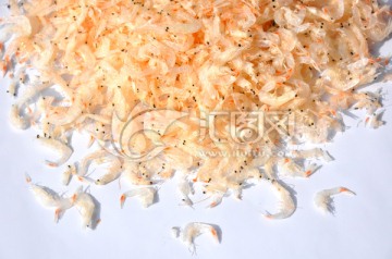 小虾米