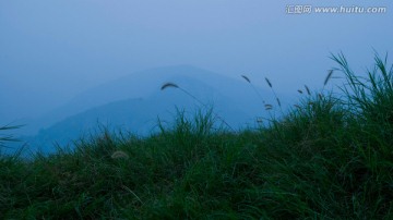 山野