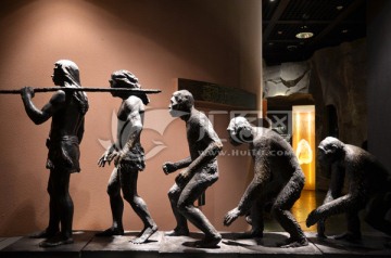 人类进化史雕塑
