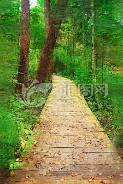 电脑油画 森林小路