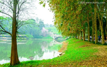 广州华南植物园风景