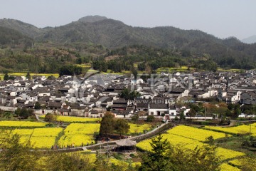 古村花海