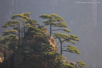 黄山风光