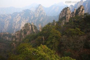 黄山松林石峰