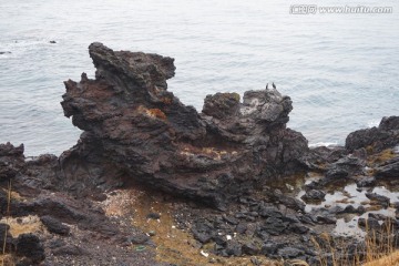 济州岛龙头岩