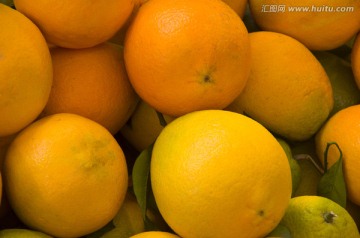 柳橙 橙子 柑橘