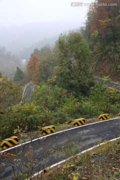 旅途 金秋 道路