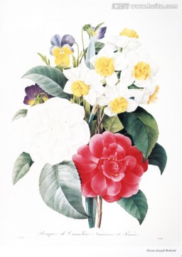 欧式花卉装饰画花卉素材