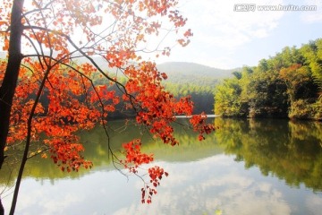 濮塘风景