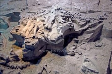 恐龙化石群遗址