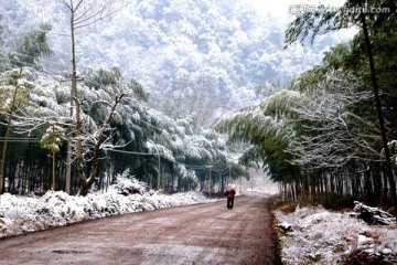 雪景