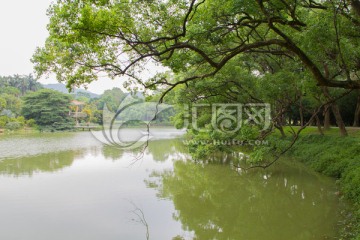 风景