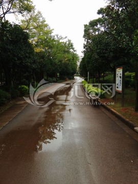 小区道路