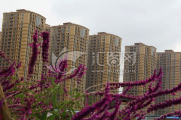 房地产开发