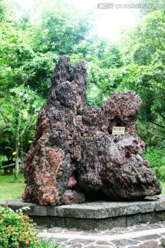 火山石 怪石