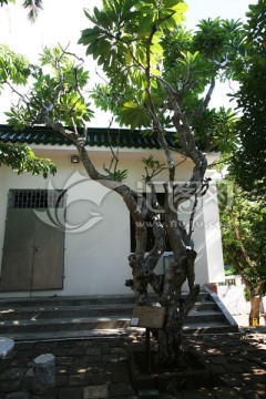 五公祠 旅游 古迹 休闲 海南