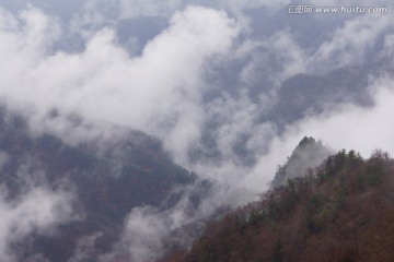 云海
