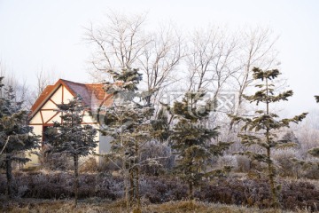 雾凇 小屋