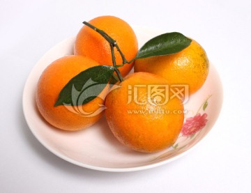脐橙