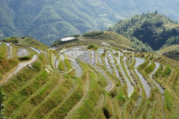 龙脊梯田