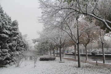 雪景