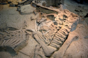 恐龙化石群遗址