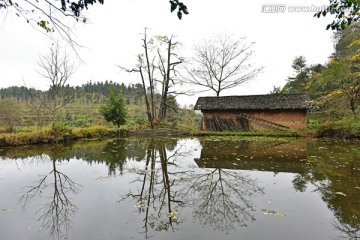 田园风光