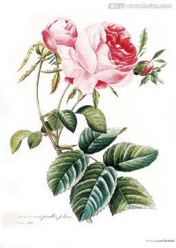 欧式花卉油画装饰画