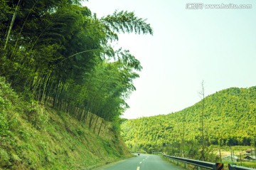 竹林下的公路
