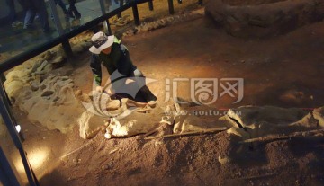 恐龙化石 考古 发掘