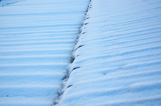 雪