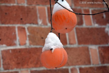 雪景 柿子