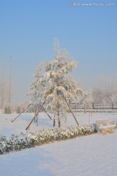 雪景