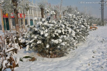 雪景