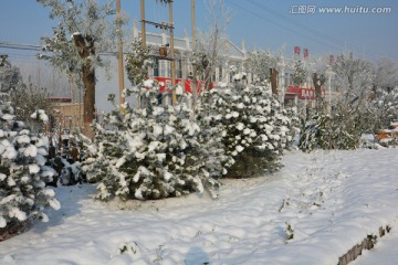 雪景