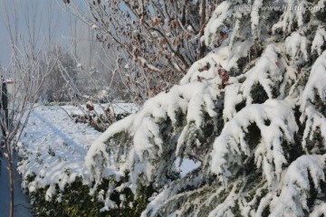 雪景