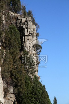 悬崖峭壁 仰天山 松树